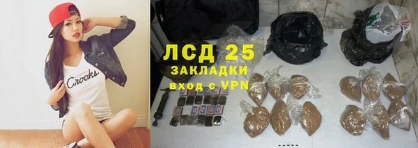 мдпв Инсар