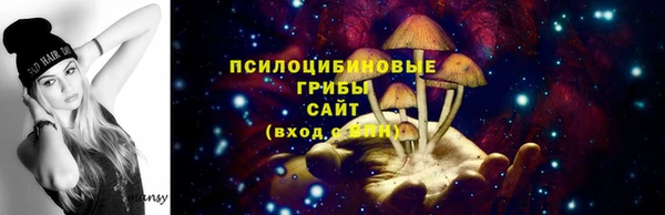 PSILOCYBIN Каменск-Шахтинский