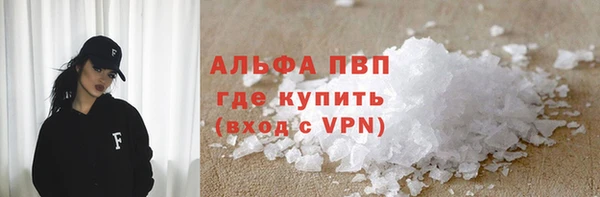 СК Инта