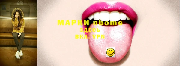 мдпв Инсар