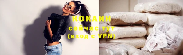 мдпв Инсар