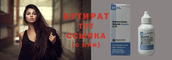 мдпв Инсар