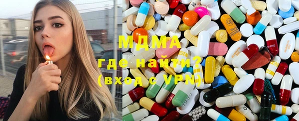 мдпв Инсар