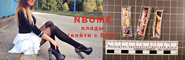 мдпв Инсар