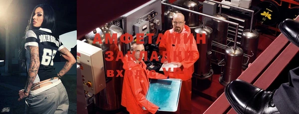мдпв Инсар