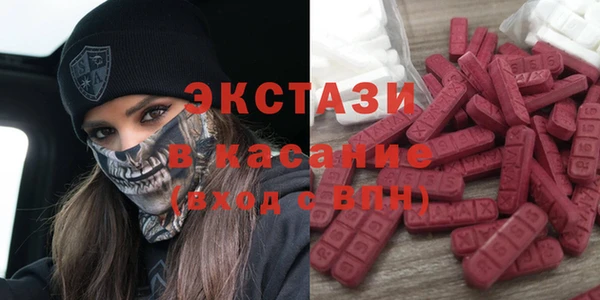 мдпв Инсар