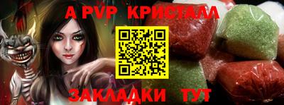 шишки Заволжье