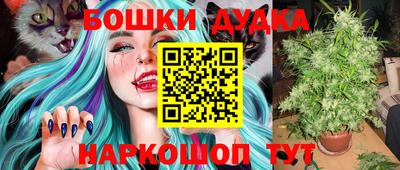шишки Заволжье