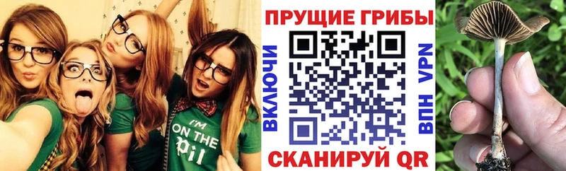 Псилоцибиновые грибы мухоморы  Лесозаводск 