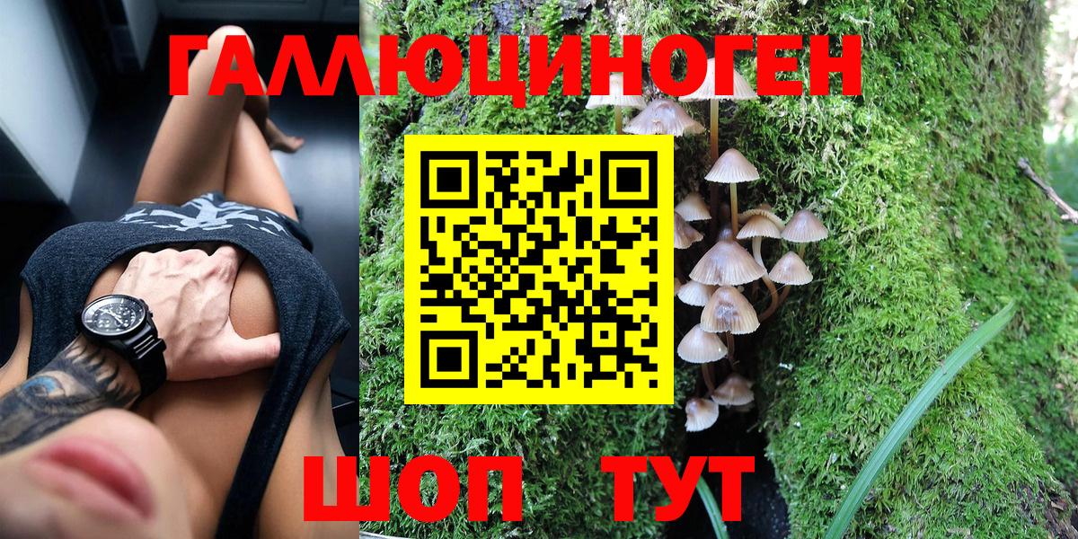 Псилоцибиновые грибы Cubensis Лесозаводск